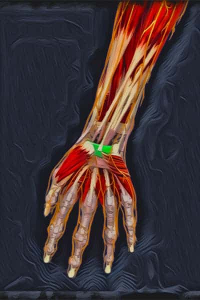 syndrome du canal carpien main maladie chirurgien orthopediste mains poignet paris docteur marc olivier falcone paris