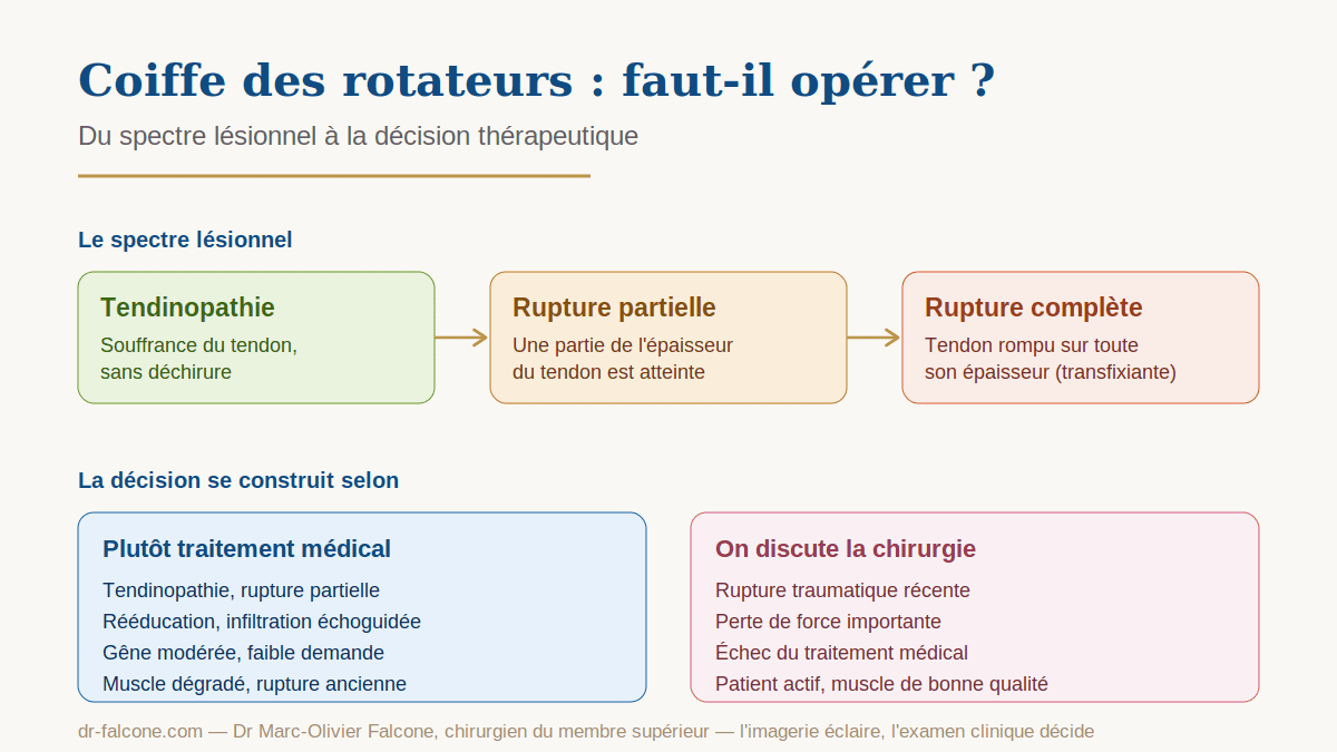 Schéma décisionnel de la coiffe des rotateurs : du spectre tendinopathie-rupture vers le traitement médical ou la chirurgie
